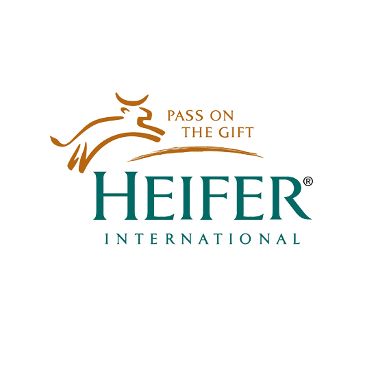 Heifer